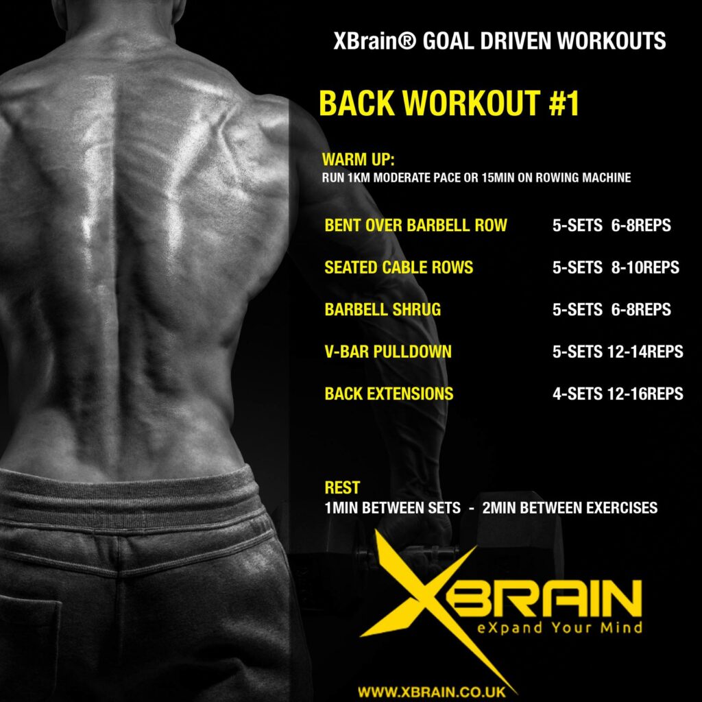 XBrain Goal Driven Workouts 1 back workout 1