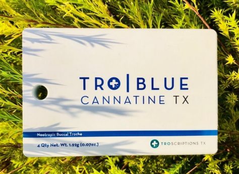 Blue Cannatine - Image 2