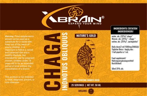 Chaga Mushroom Extract - Image 2