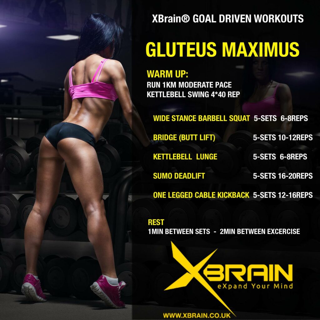 XBRAIN GOAL DRIVEN WORKOUTS – GLUTEUS MAXIMUS 1 gluteus maximus
