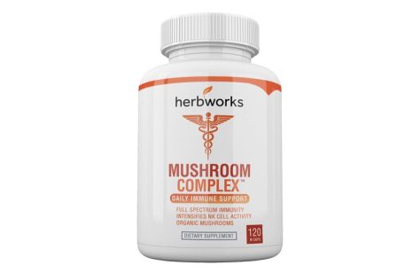 Mushroom Complex