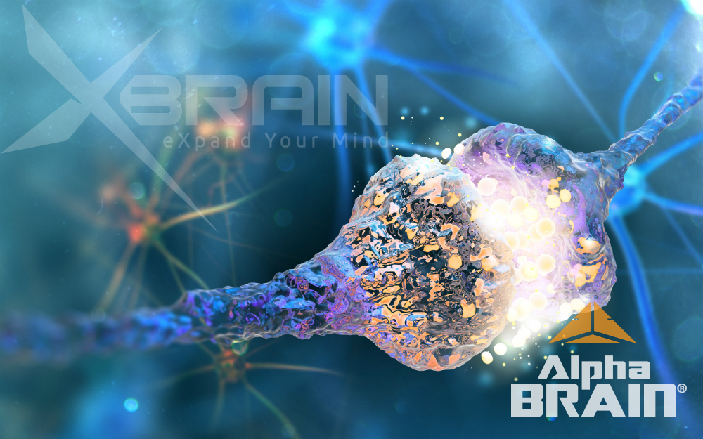 Onnit 1 onnit alpha brain uk getonnit