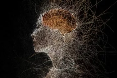 Unlocking Your Mental Potential: Neurohacker's Cognitive Optimization Methods 9 Neurohacker's Methods for Cognitive Optimization: Unlocking Your Mental Potential