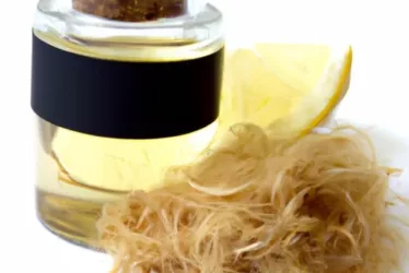 The benefits of Lion's Mane mushroom extract! 4 5421EB8E 8CAB 48CD 8624 2464B620FAF3 1 jpeg