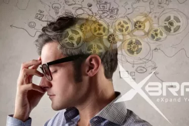 Nootropics The Perfect Neuro Enhancers 1 neurohacker