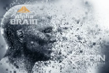 Unlocking Your Mental Potential: Onnit's Cognitive Enhancers 3 Onnit's Cognitive Enhancers