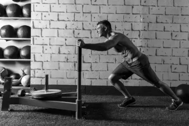 Warrior Workout Body Mind 3 prowler1 jpg