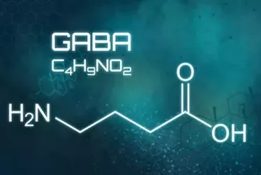 How GABA Benefits Your Body 5 shutterstock 1548046328 jpg