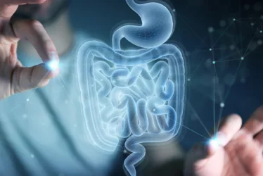 Discover the Power of Digestive Enzymes: Enhance Your Digestion 5 Digestive enzymes breaking down food