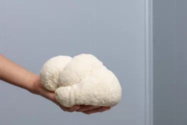 Enhance Your Brain Health: Mushroom Supplements for Cognitive Function 1 Mushroom Supplements for Cognitive Function