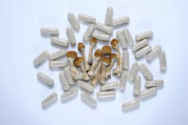 Boost Your Immunity: Mushroom Supplements for a Stronger Defense 2 Mushroom Supplements for Immunity