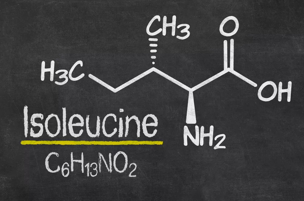 Essential Amino Acids: Building Blocks for Muscle Growth and Repair 1 Essential amino acids for muscle growth and repair