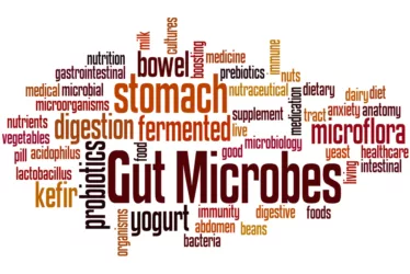 Improve Nutrient Absorption: Digestive Health Supplements for Optimal Wellness 1 Digestive health supplements enhancing nutrient absorption