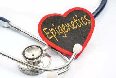 There are several ways to reduce the effects of epigenetic alterations and restore normal gene expression. 8 shutterstock 555961285 1 jpg
