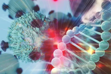 What is Telomeres ? 7 shutterstock 591898874 1 jpg