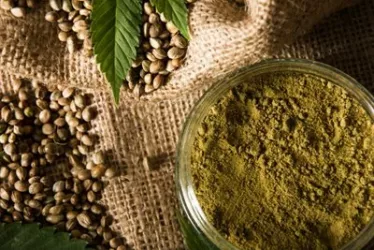 Discover the Power of Hemp Protein: Unlock Optimal Health, Fitness, and Nutrition 2 shutterstock 773980048 jpg