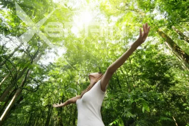 ONNIT EGN (Earth Grown Nutrients) 6 siberian ginseng 2110 jpg